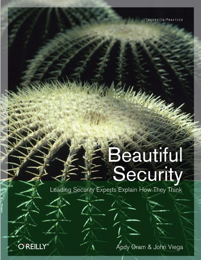 安全之美 英文pdf_黑客教程