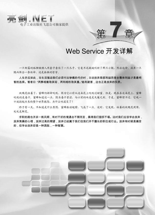 WebService开发详解 亮剑.Net_NET教程