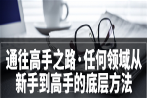 粥左罗<通往高手之路·任何领域从新手到高手的底层方法>完结