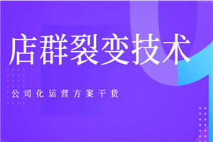 新手淘宝客也能年产200万店群裂变技术以及公司化运营方案