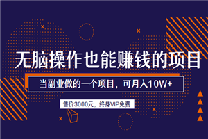 无脑操作也能赚钱的一个副业项目，月入超10W（售价3000元）