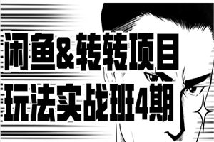 某VIP培训：闲鱼&转转项目玩法实战班4期