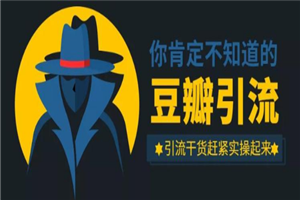 万哥豆瓣引流万能公式3.0：简单、高效、易上手、轻松搞定爆粉豆瓣贴