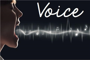 短视频说话变成字幕的软件