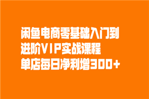 闲鱼电商零基础入门到进阶VIP实战课程，单店每日净利增300+