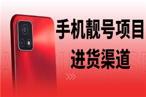 手机靓号几千利润玩法，附送进货渠道